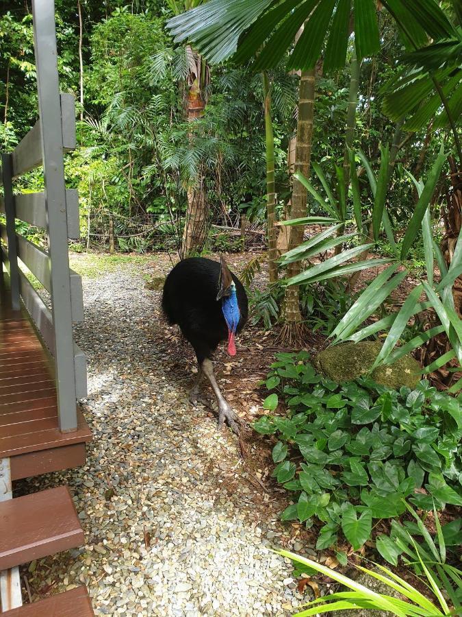 Boutique Bungalows Mission Beach Bagian luar foto