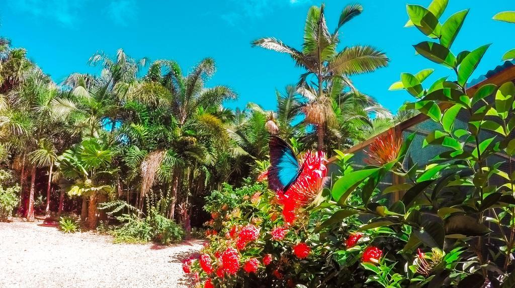 Boutique Bungalows Mission Beach Bagian luar foto